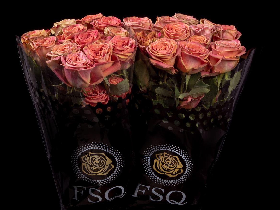 Rosa grootbloemig overig