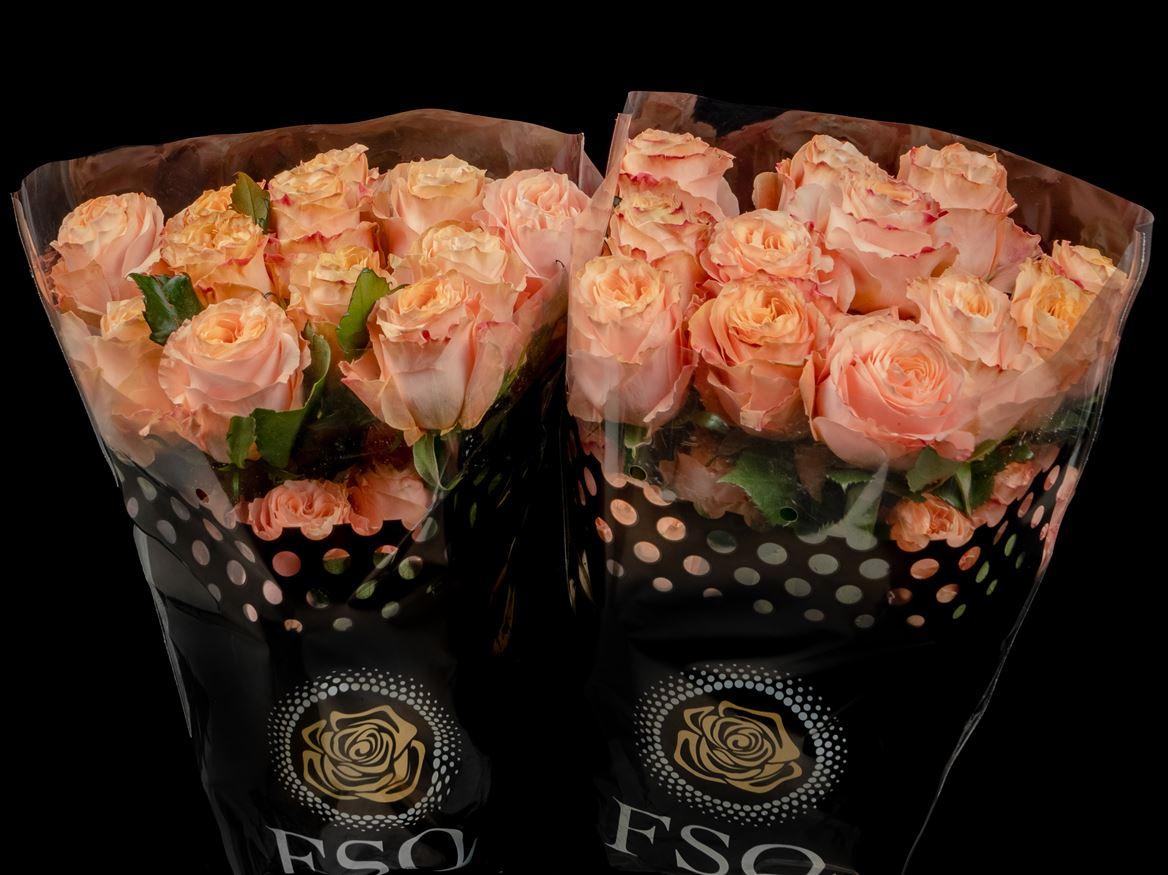 Rosa grootbloemig overig