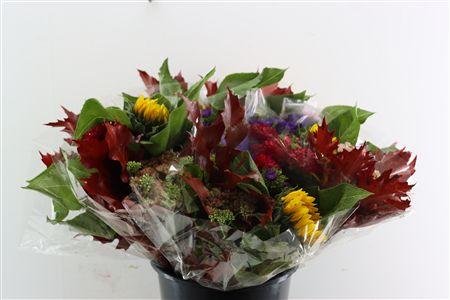 Gemengd boeket overig