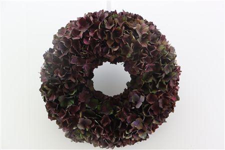 Krans Hydrangea macrophylla