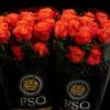 Rosa grootbloemig Orange Crush