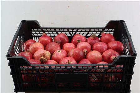 Siervruchten per stuk Punica granatum