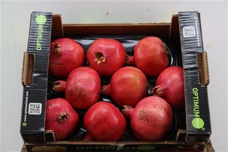 Siervruchten per stuk Punica granatum