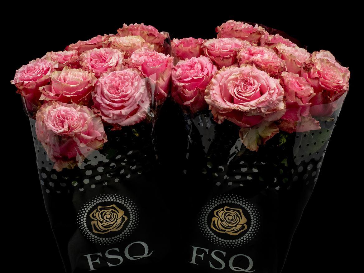 Rosa grootbloemig overig