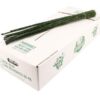 Equisetum Rush per bos