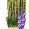 Snijbloemen overig