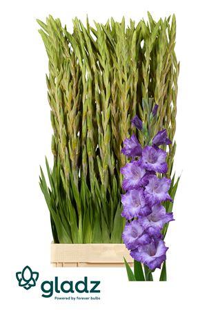 Snijbloemen overig