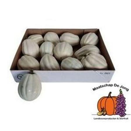 Siervruchten per stuk Cucurbita pepo 'Baby Boo'