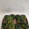 Cucurbita pepo