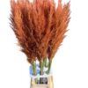Snijbloemen overig kleurbehandeld H%