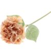 Hydrangea / Silkeblomst