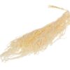 Amaranthus Preserveret